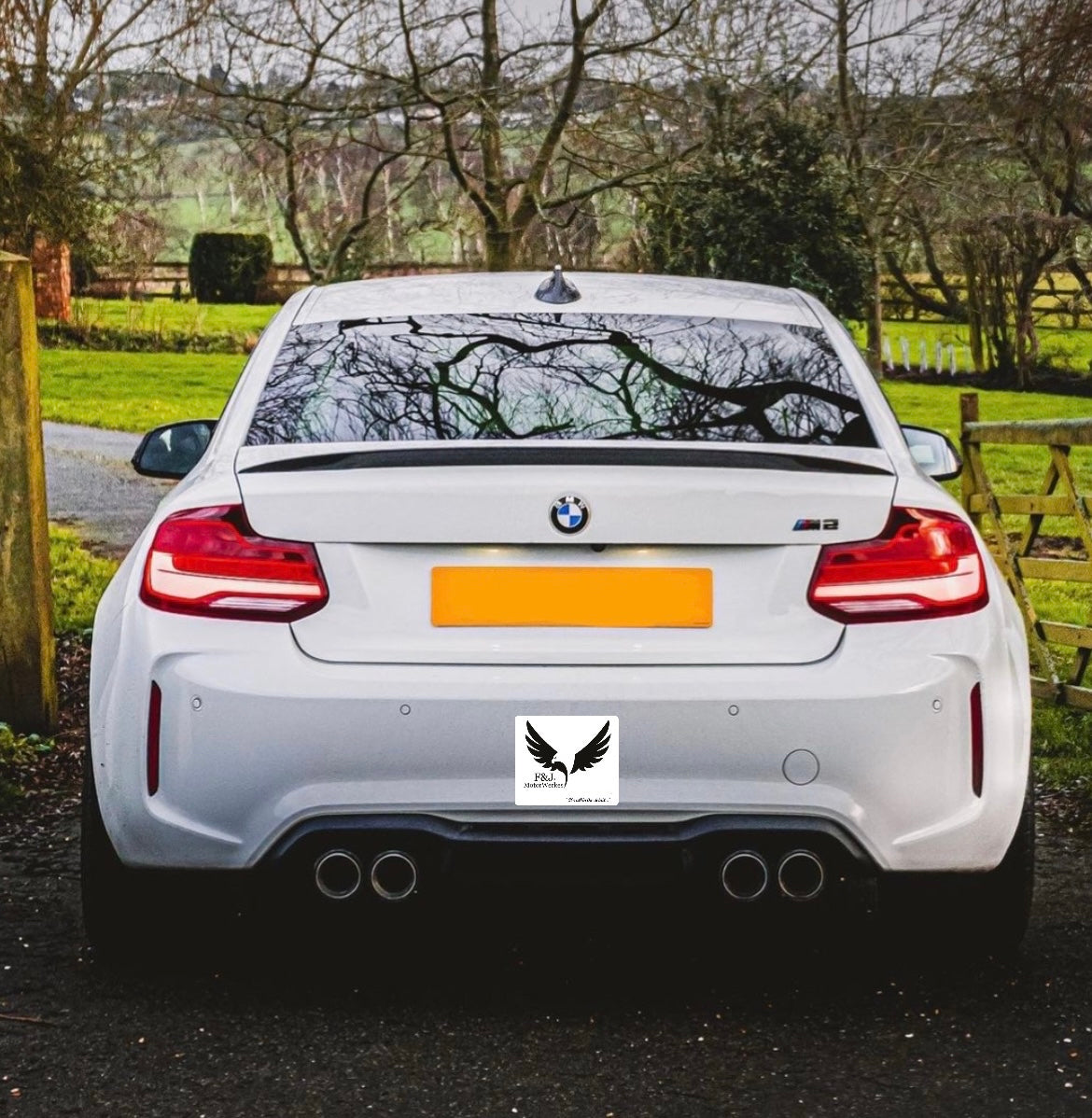 Bmw M2 M3 M4 M5 M6 X5M X6M Carbon Fibre M Performance Exhaust Tips F80 F82 F10 SILVER X4 Full set